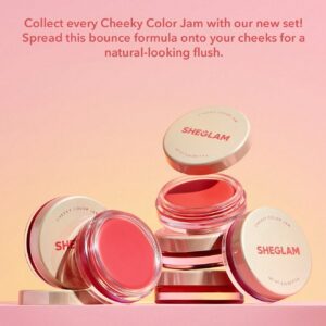 رژگونه کرمی شیگلم رنگ Rose Meadow