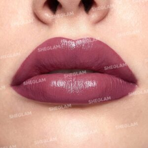 رژلب جامد آبرسان شیگلم رنگ Dry Rose