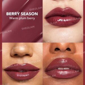 لیپ پلامپر شیگلم رنگ Berry Season