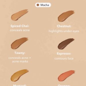 پالت کانسیلر شیگلم multi fix مدل Mocha