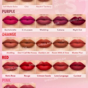 رژلب جامد مات شیگلم مدل Matte Allure رنگ Love language